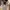 Carhartt Vintage Skater Casual pants Pria tan gray photo 2