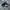 Adidas Casual Sneakers Pria white black photo 1