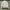 Playboy Streetwear Y2K Puffer jacket Wanita white photo 4
