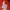 Luxury Minimalist Dungaree Kids orange photo 2