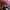 Adidas Streetwear Casual Sneakers Wanita green pink photo 6