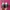 Adidas Streetwear Casual Sneakers Wanita green pink photo 4