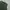 Adidas Jersey Pria green photo 2