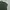 Adidas Jersey Pria Green