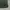 Adidas Jersey Pria green photo 3