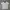 Harley Davidson Vintage Biker Polo Shirt Pria Gray