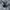 Nike Sportswear Sneakers Pria white black photo 2