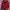 Thom Browne Luxury Casual Windbreaker Wanita red photo 2