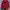 Thom Browne Luxury Casual Windbreaker Wanita Red