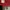 Thom Browne Luxury Casual Windbreaker Wanita red photo 6