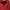 Thom Browne Luxury Casual Windbreaker Wanita red photo 4