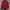 Thom Browne Luxury Casual Windbreaker Wanita red photo 1