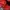 Thom Browne Luxury Casual Windbreaker Wanita red photo 8