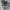Vans Casual Sneakers Pria white gray photo 5
