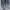 Vans Casual Sneakers Pria white gray photo 7