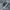 Vans Casual Sneakers Pria white gray photo 1