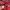 New Balance Streetwear Gorpcore Windbreaker Pria red photo 2