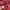 New Balance Streetwear Gorpcore Windbreaker Pria Red