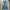 Japanese brand Streetwear Y2K Jeans Pria blue photo 1