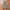 Streetwear Gorpcore Tracksuit Pria green photo 4