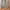 Streetwear Gorpcore Tracksuit Pria green photo 5