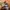 Streetwear Gorpcore Tracksuit Pria green photo 7