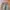 Streetwear Gorpcore Tracksuit Pria green photo 6