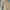 Minimalist Casual Maxi dress Wanita tan photo 4