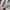Nike Streetwear Gorpcore Tracksuit Pria gray photo 7