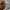 Nike Streetwear Gorpcore Tracksuit Pria gray photo 8