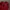 Adidas Sportswear Track jacket Pria burgundy red photo 2