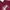 Stussy Streetwear Hoody Pria red photo 4
