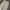 Streetwear Sportswear Tracksuit Pria multicolor photo 3