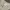 Streetwear Sportswear Tracksuit Pria multicolor photo 4