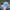 New Era Vintage Streetwear Hat Pria black photo 1