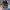 MLB Vintage Streetwear Hat Pria black photo 4