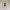 Kaos Cross Colours Tupac Shakur photo 1