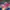 47 Brand Vintage Streetwear Hat Pria navy red photo 1