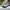 Converse Casual Sneakers Pria cream photo 1