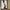 Nike Luxury Skater Sneakers Pria white photo 1