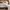 Nike Luxury Skater Sneakers Pria white photo 3