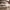 Nike Luxury Skater Sneakers Pria white photo 6