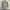 H&M Vintage Streetwear Track jacket Pria tan photo 4
