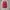 Puma Casual Sneakers Wanita black red photo 5