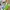 Nike Casual Sneakers Pria multicolor white photo 2