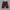 Casual Short Pria Burgundy
