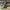 Adidas Sportswear Casual Sneakers Pria white gray photo 3