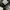 Adidas Sportswear Casual Sneakers Pria white gray photo 7