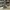 Adidas Sportswear Casual Sneakers Pria white gray photo 1