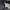 Carhartt Streetwear Y2K Casual pants Pria navy photo 4